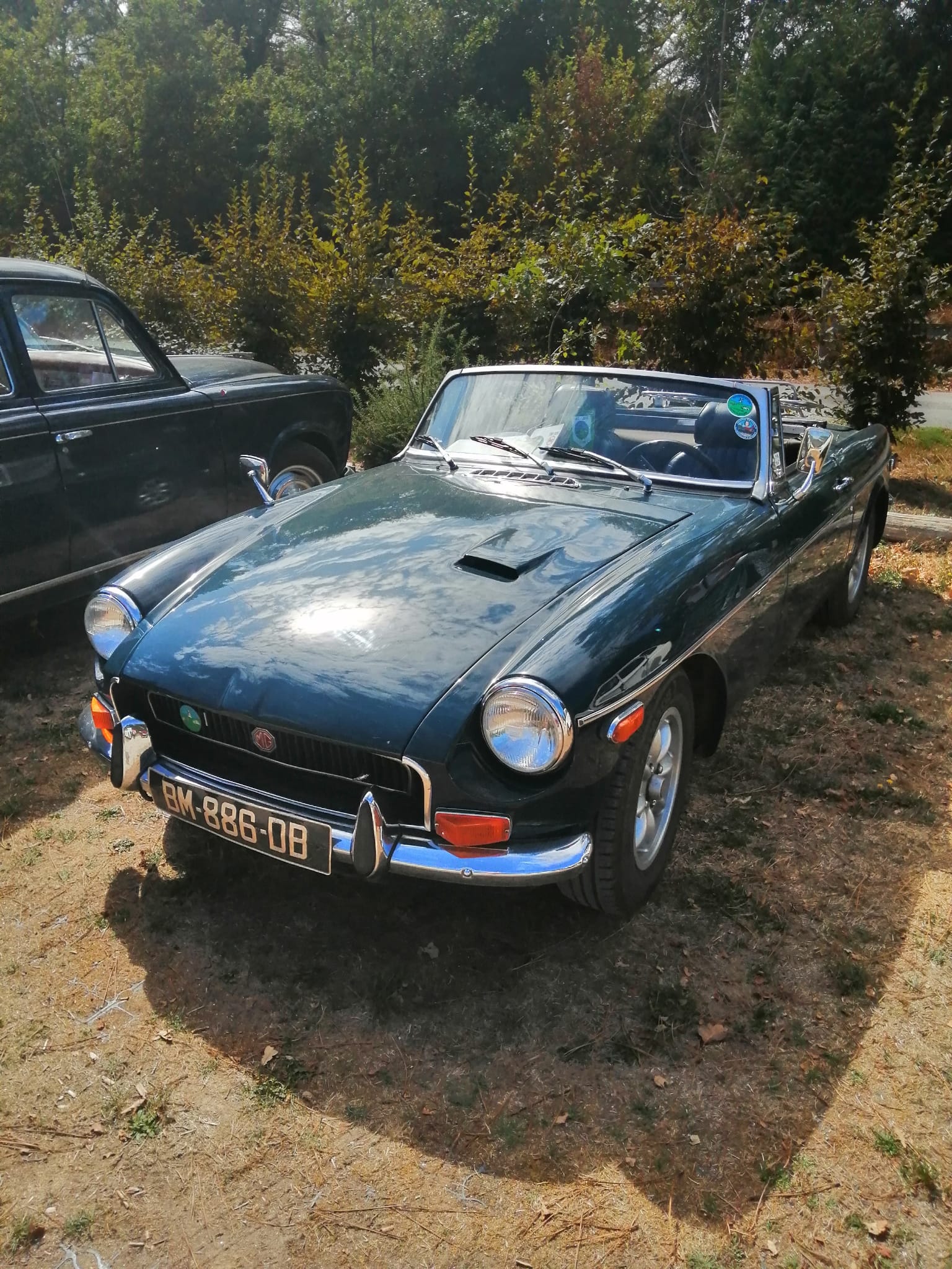 1788767910752.jpg